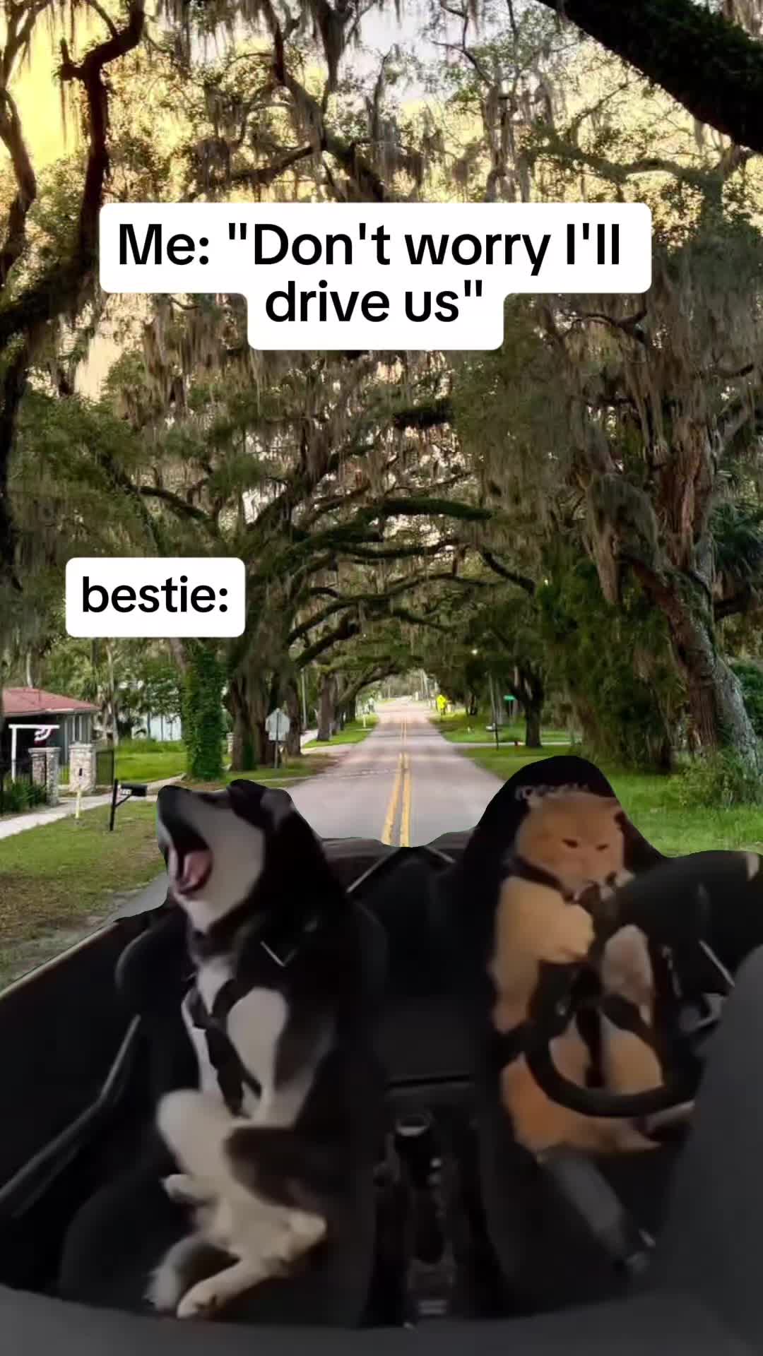 @Oge