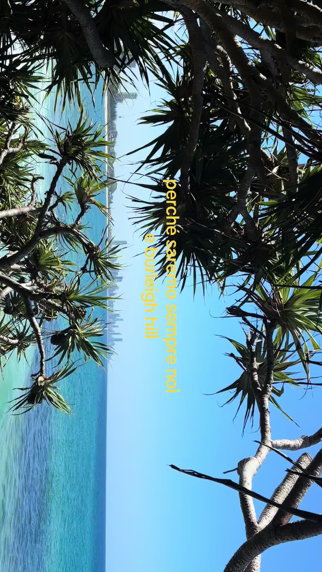 @Jade🌺