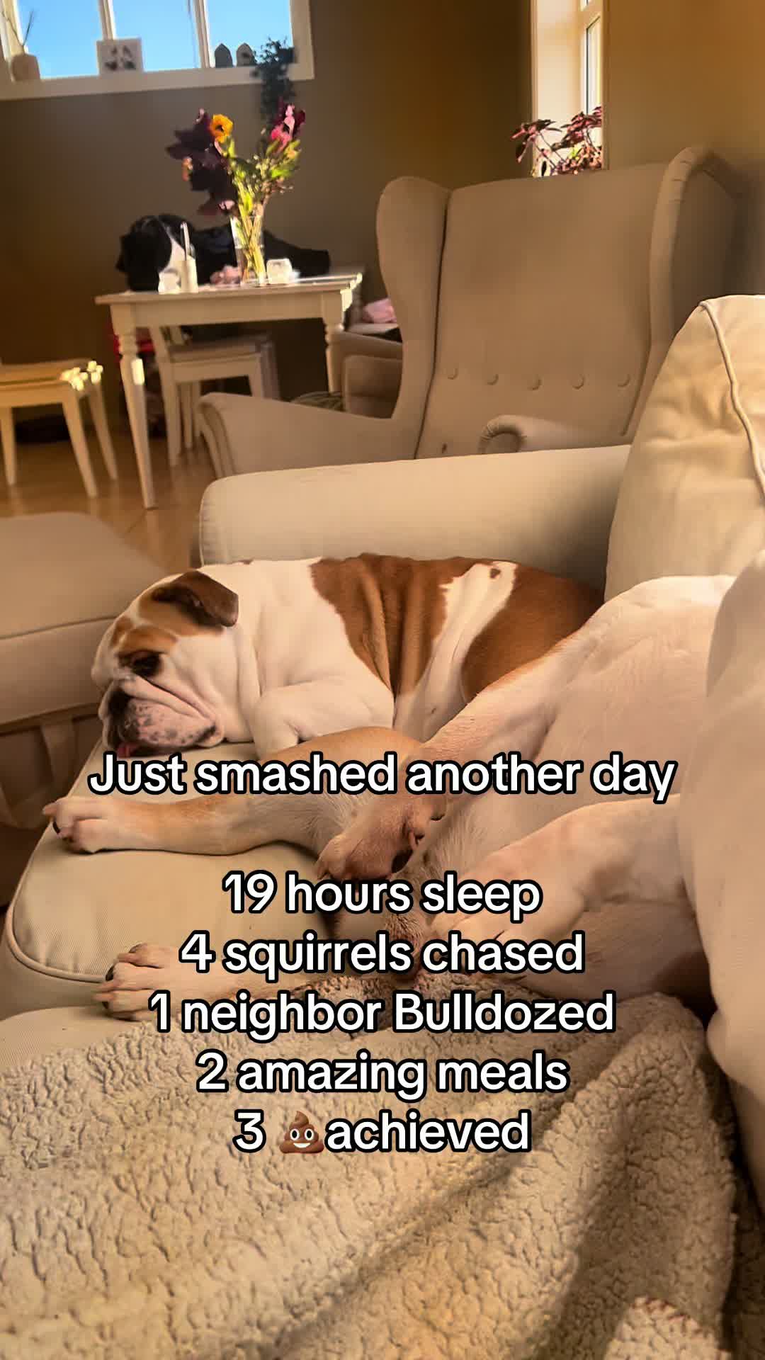 @bobandflodie