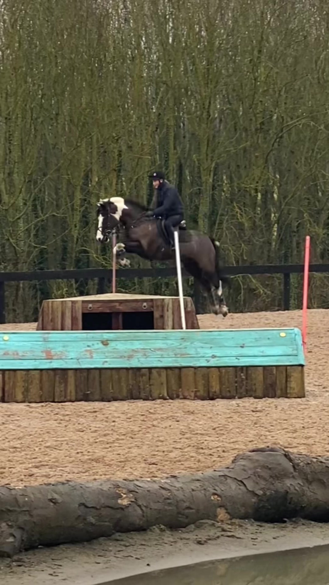 @Aoife haines eventing