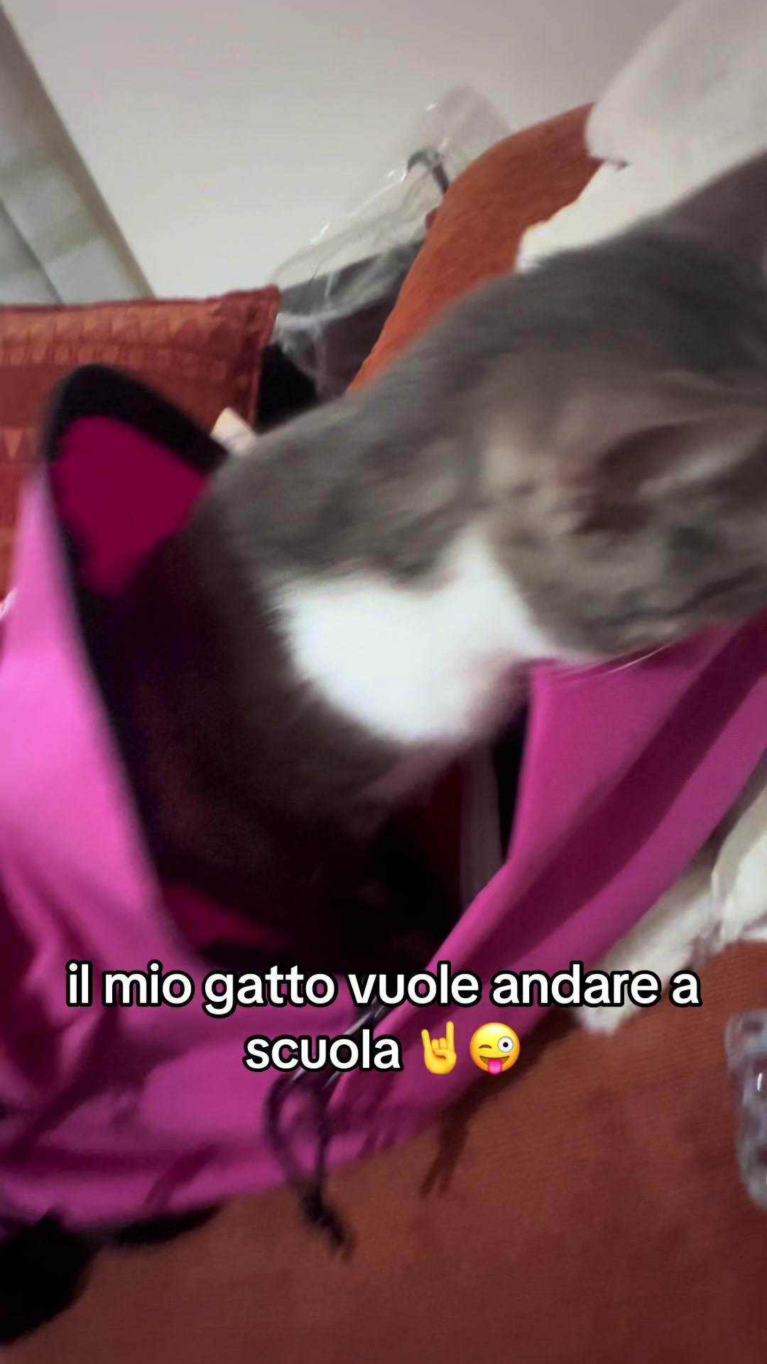 @giorgix_0
