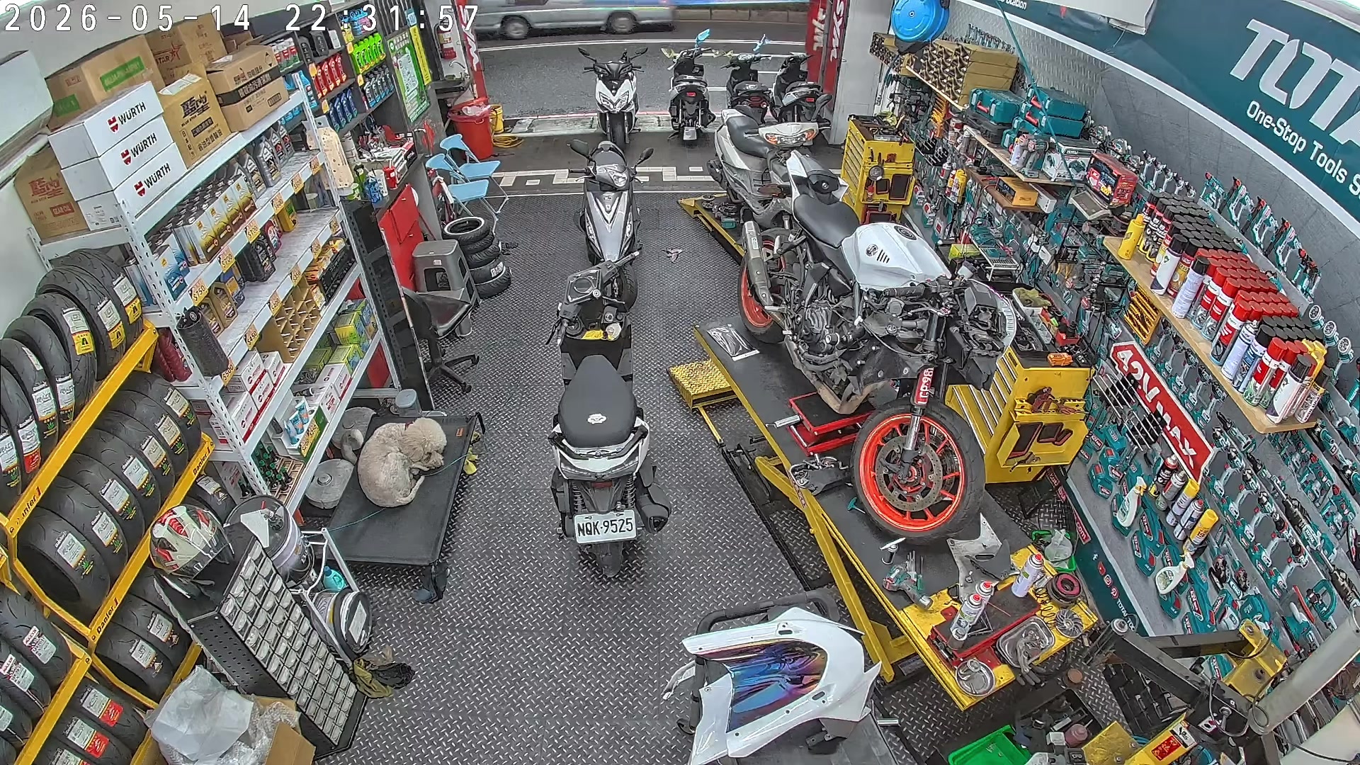 @新莊台機店 TGDMOTOR