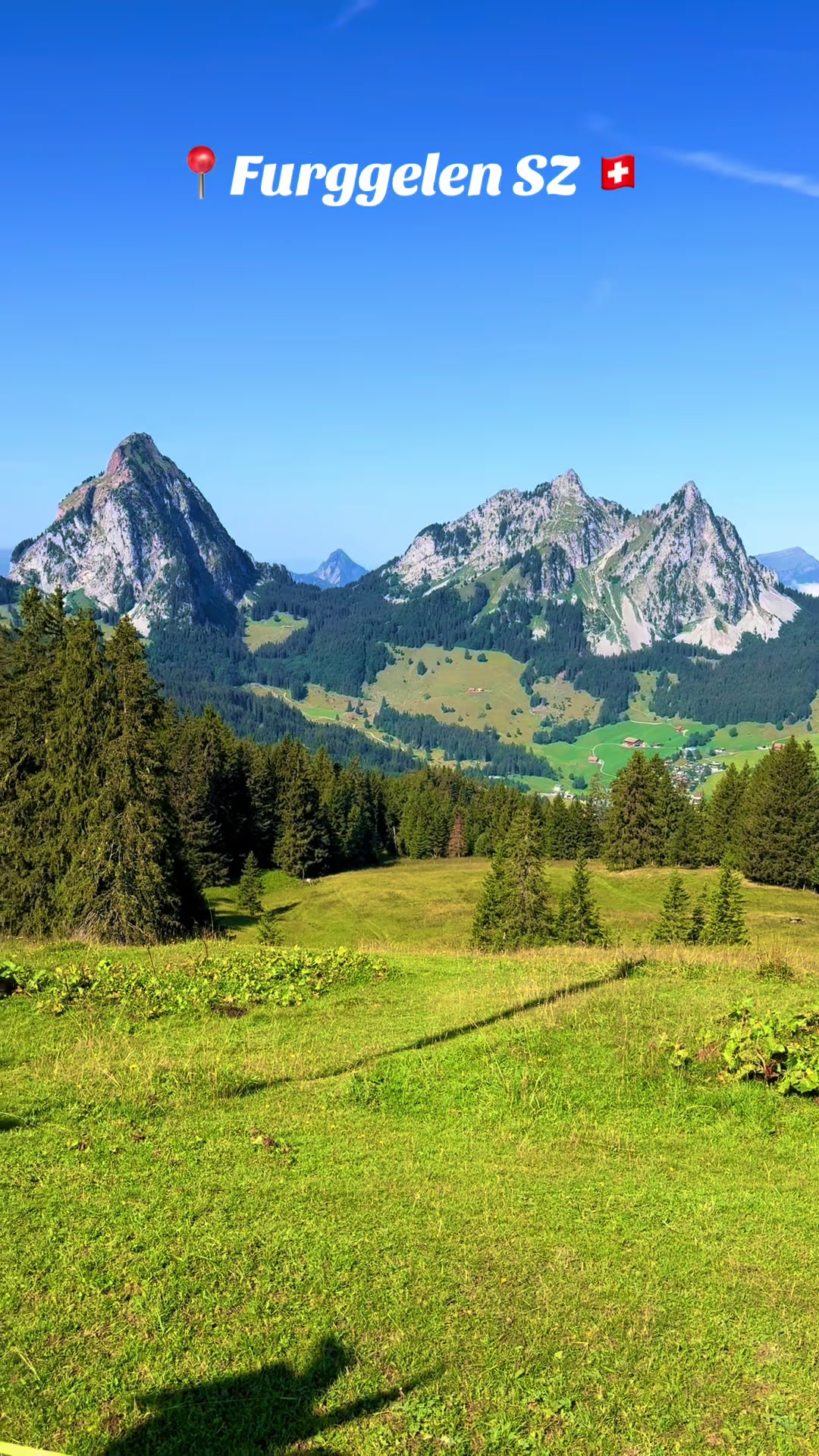 @swiss_alps