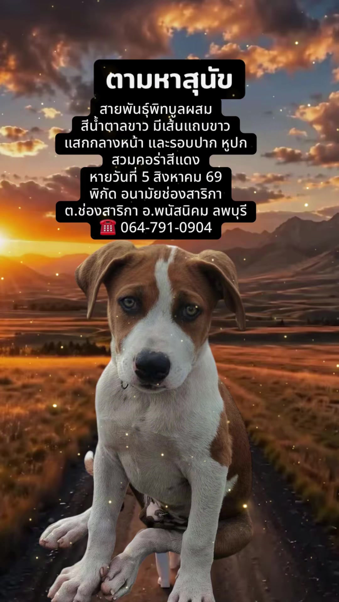 @Saowanee Sriya