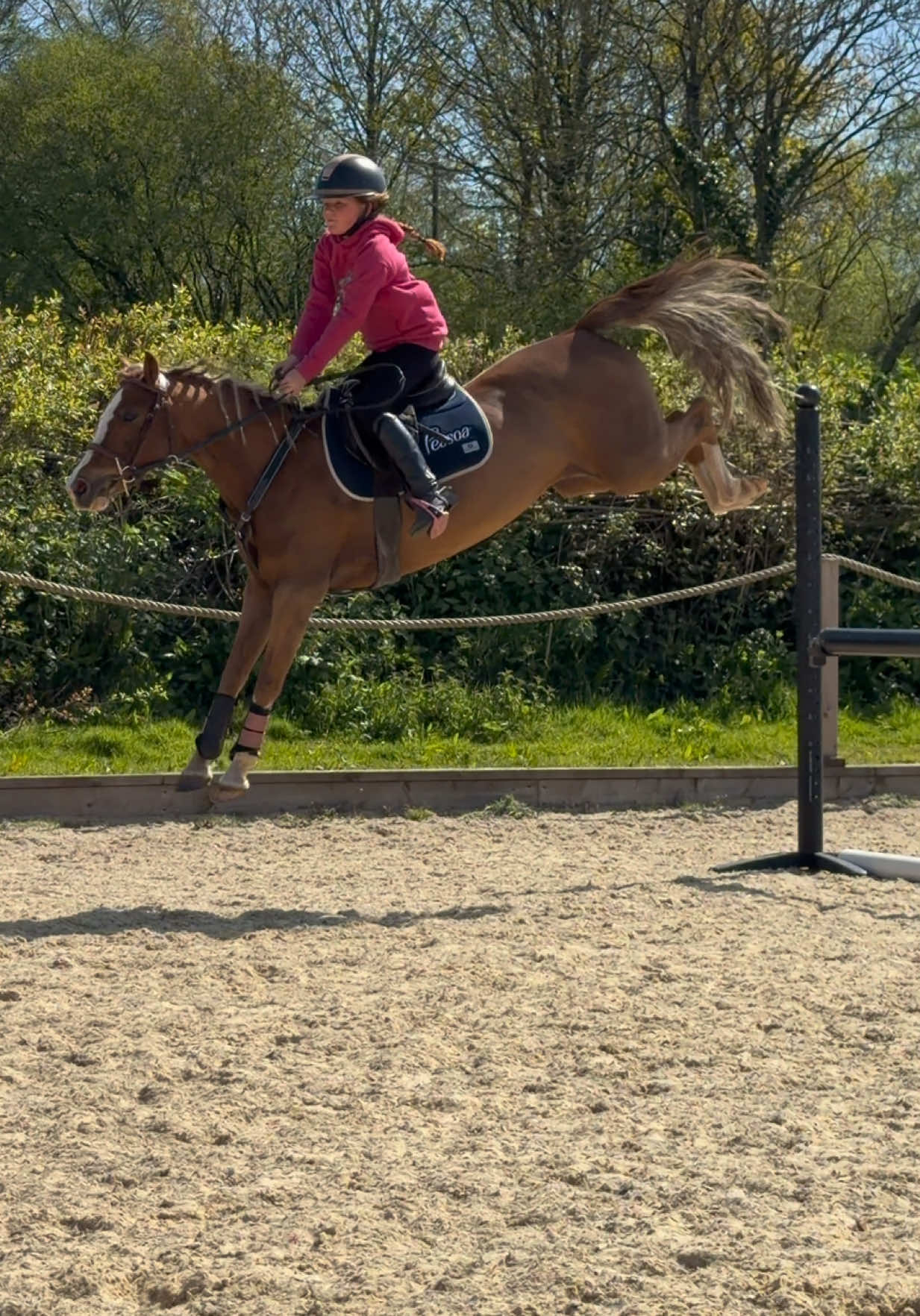 @Jumping With Ivy