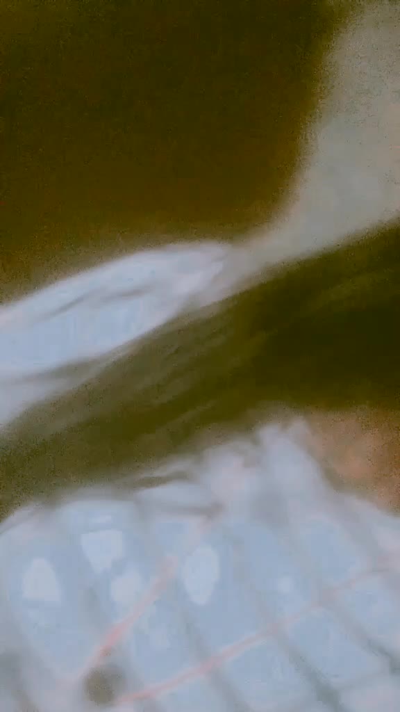 @suman❤️🩹❤️🩹🥀🕊️🕊️