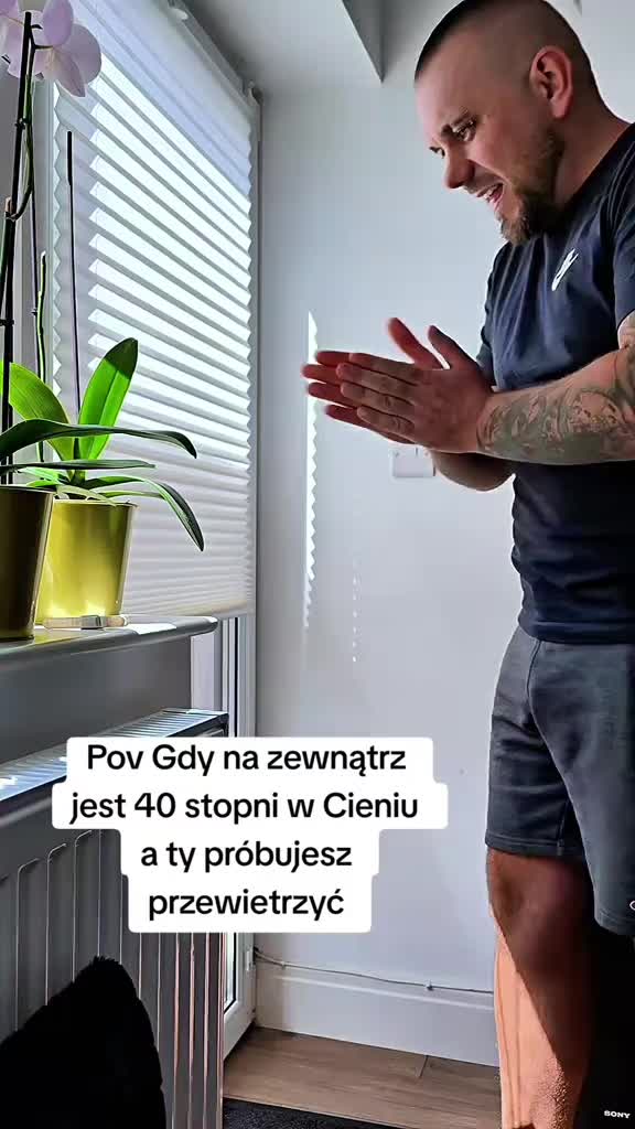 @Lester