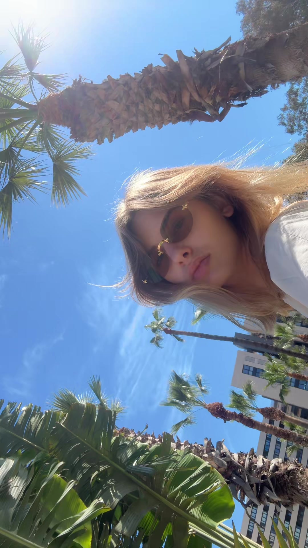 @Wimaai