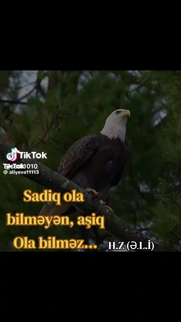 @_AFƏR RÜSTƏMOV