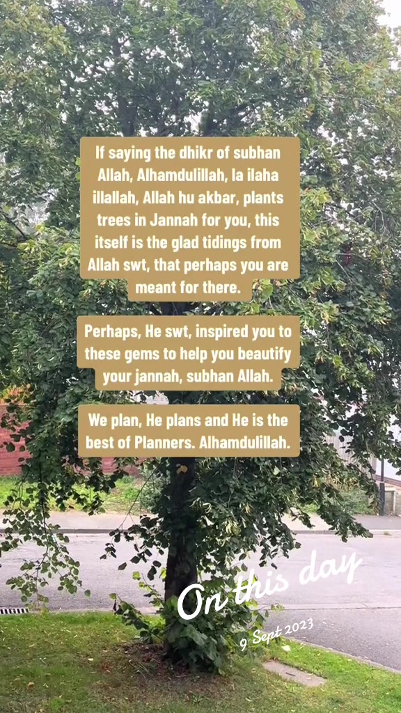 @Surma Sufi