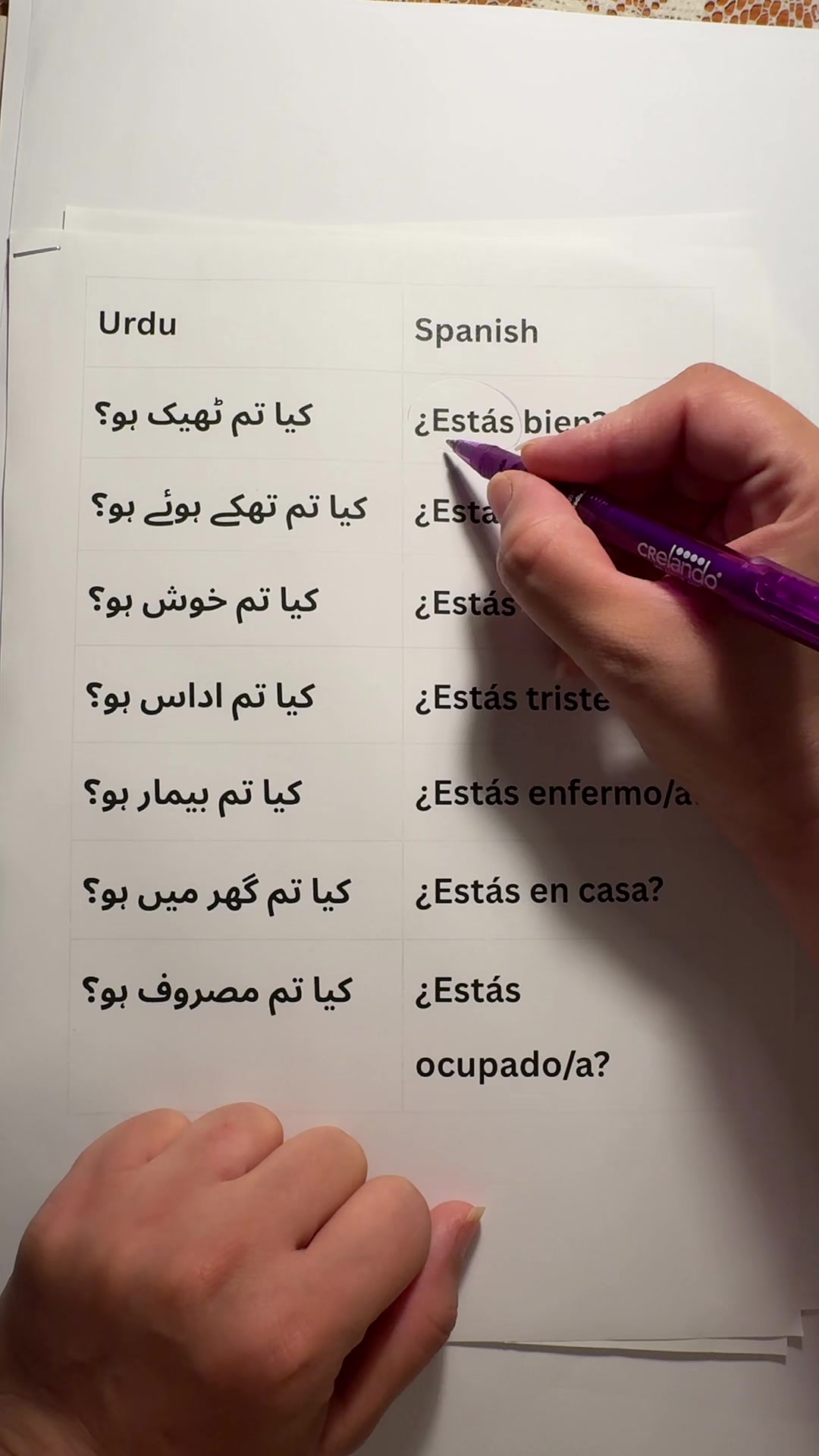 @learnspanishwithTehreem