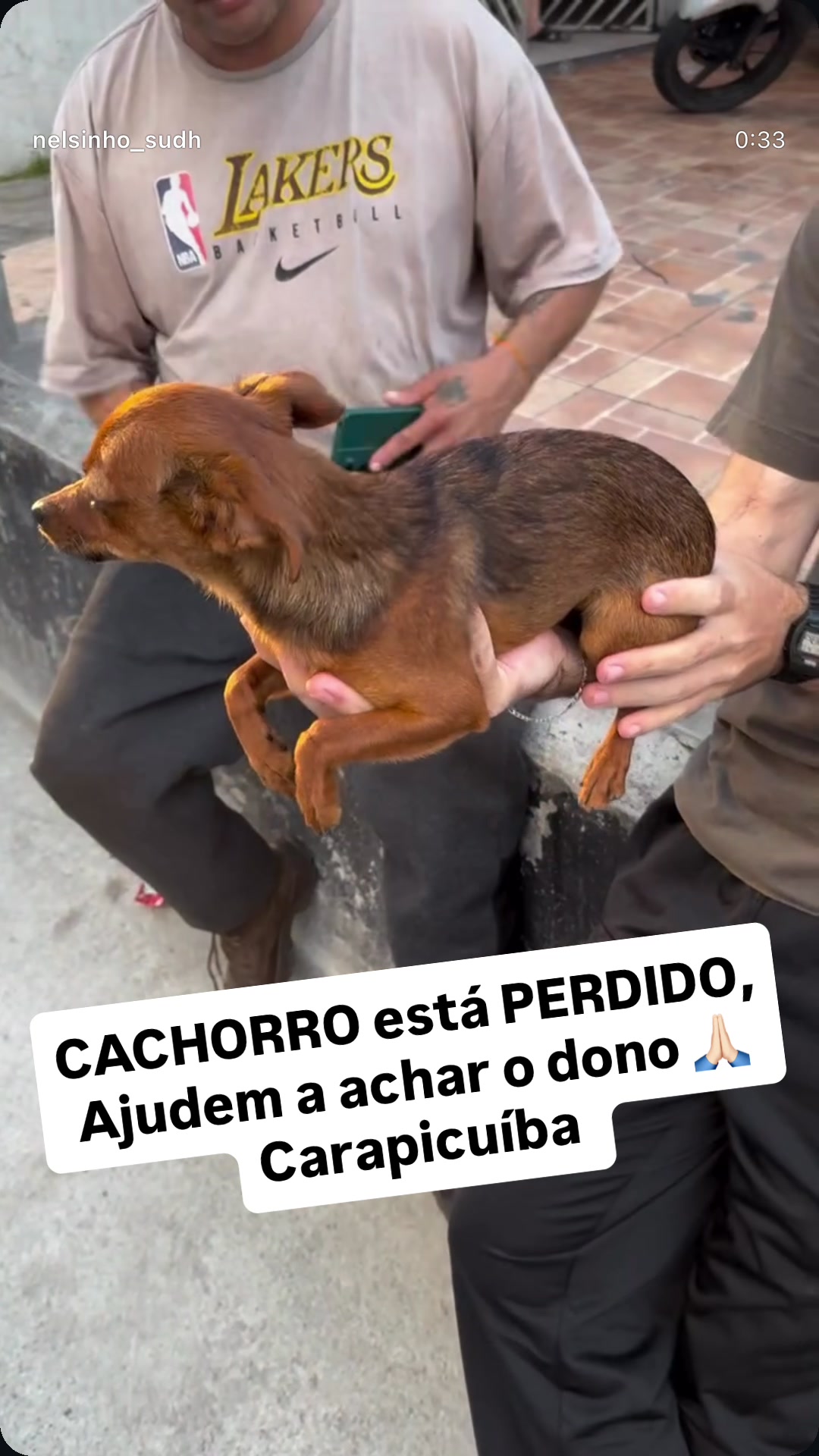 @Nelsinho