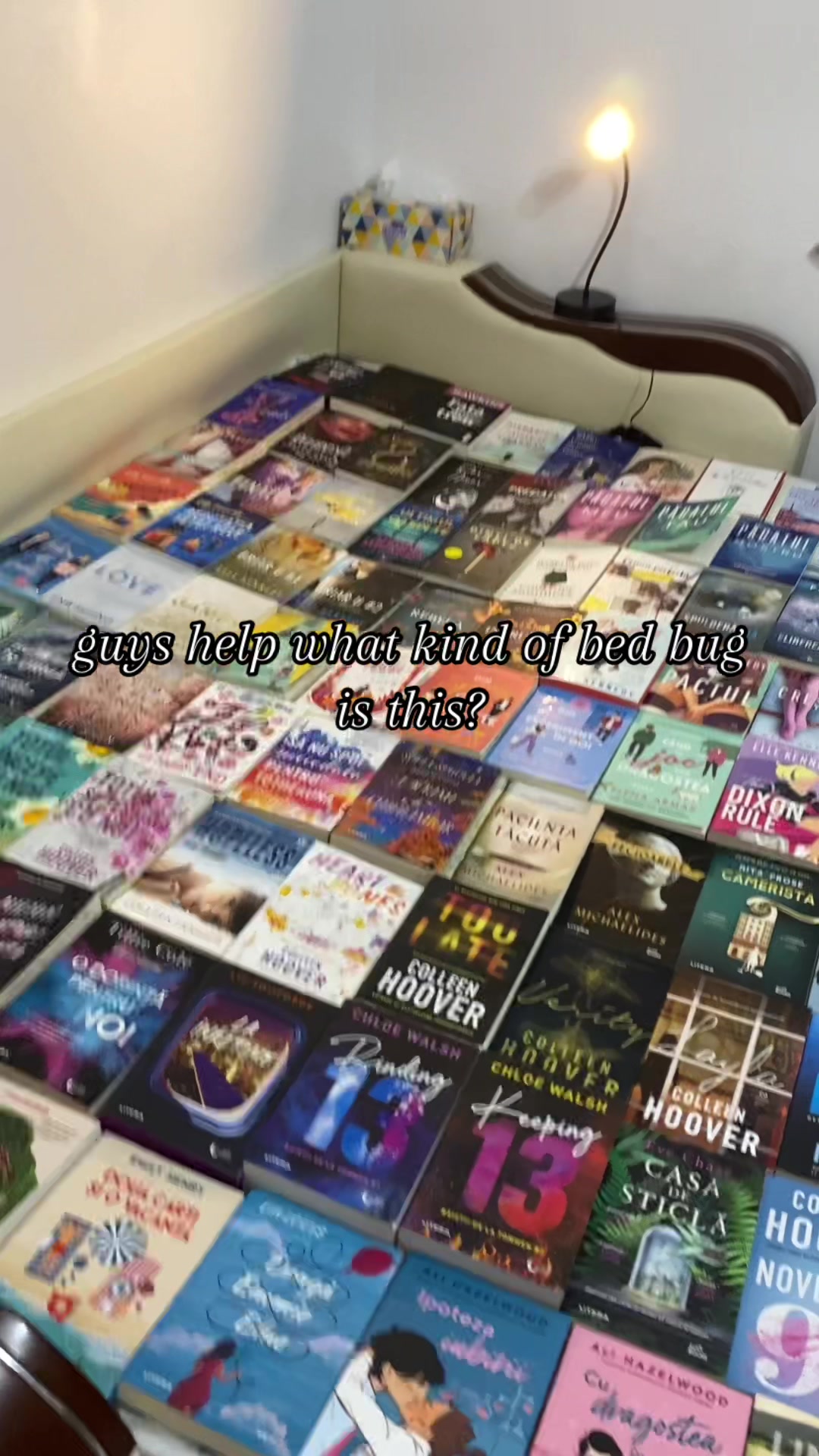 @tda 🐭ིྀ | booklover 📚