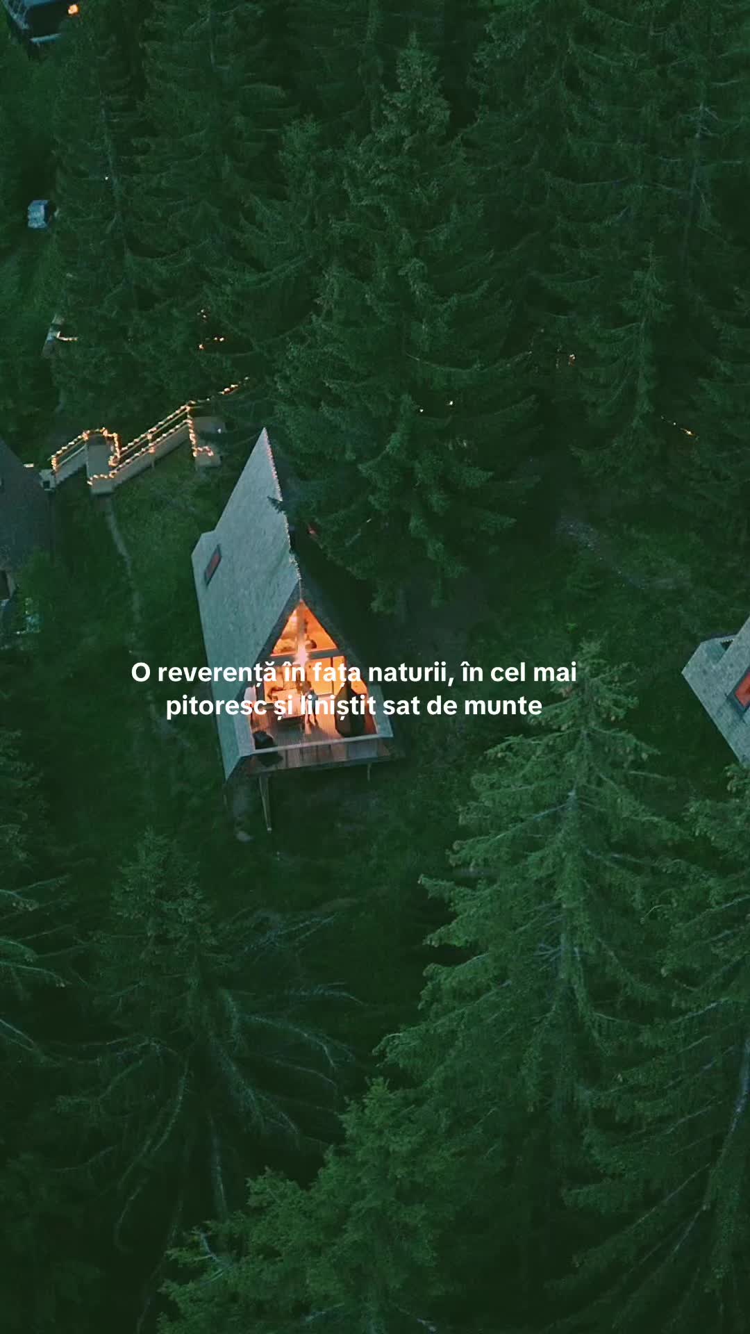 @Strajerii Verzi