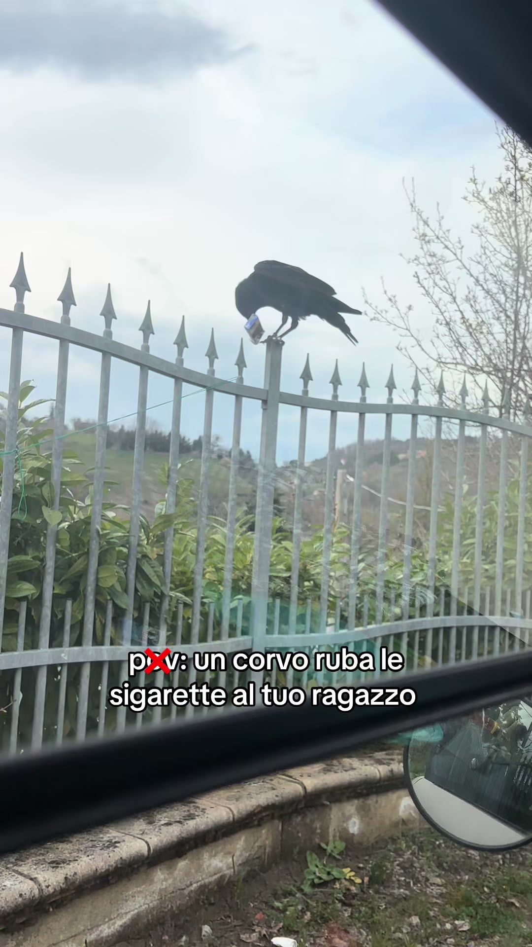 @alee