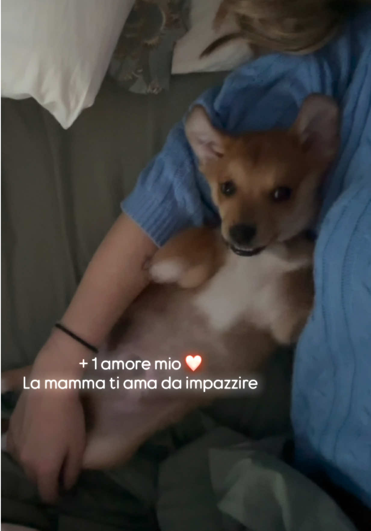 @Fre_schissima