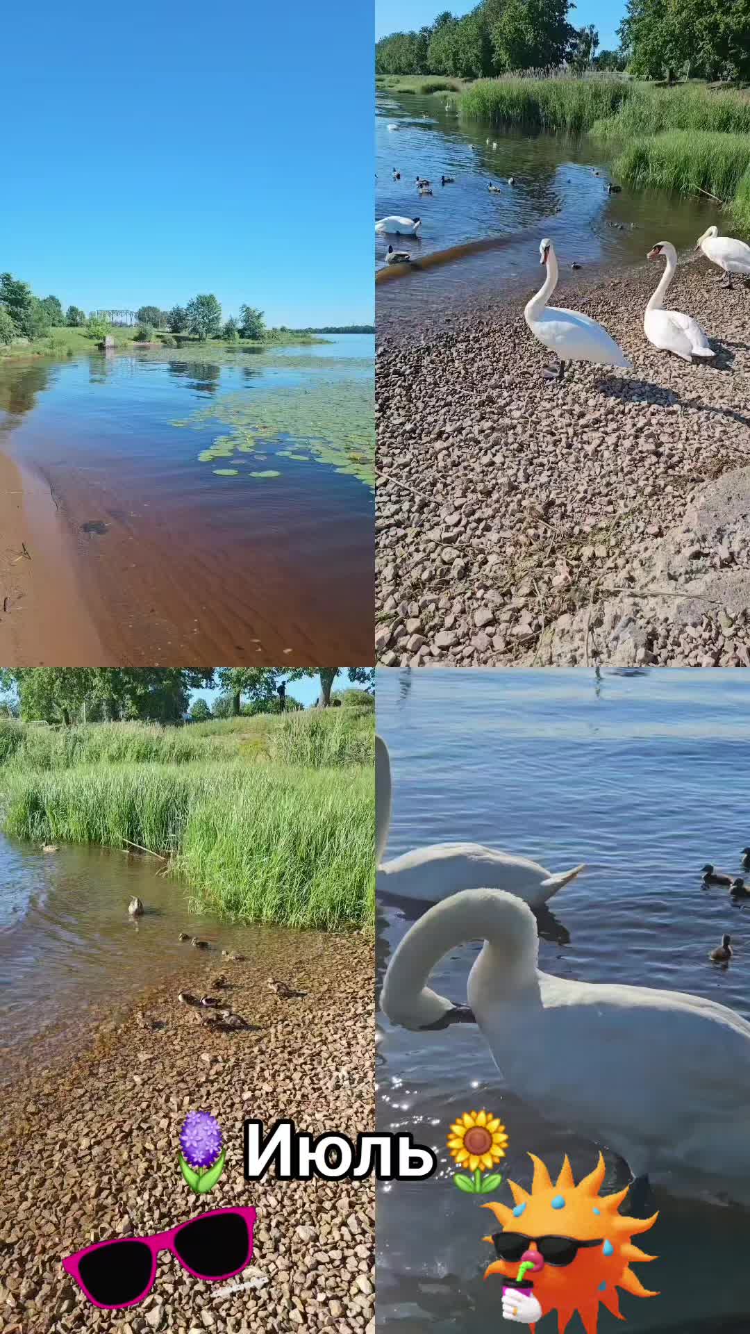 @👑pm🇱🇻svetlana👑