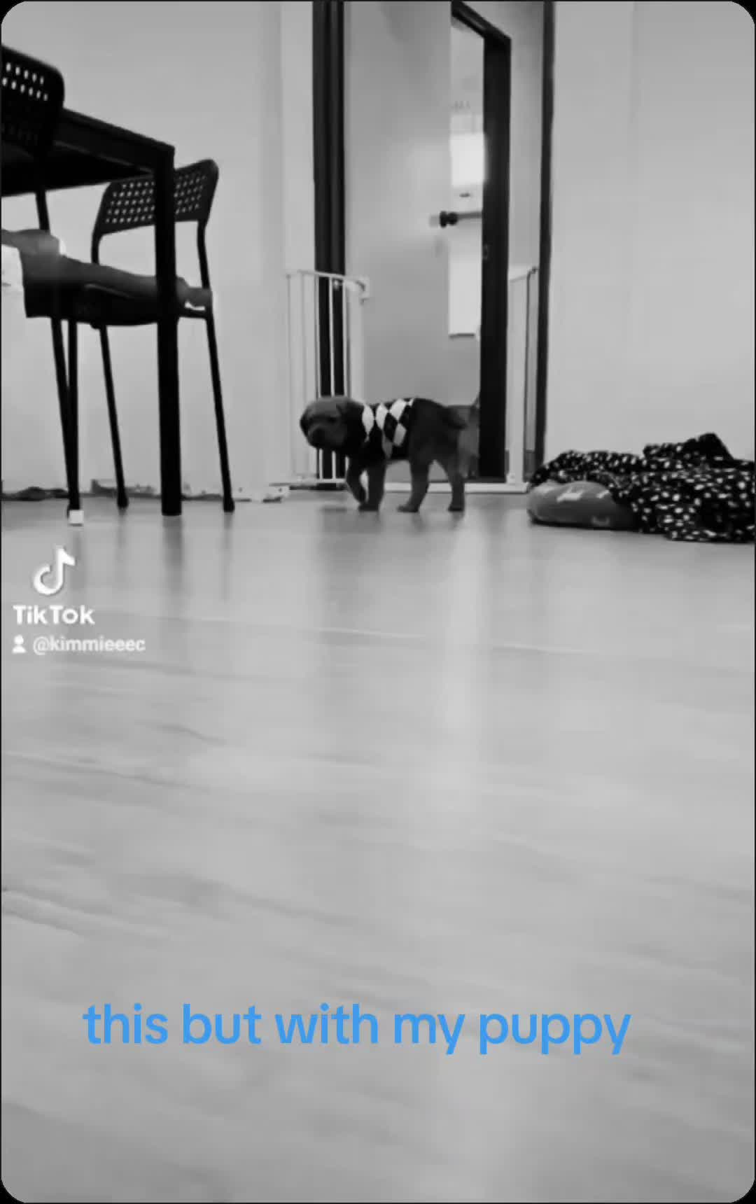 @kimmieec
