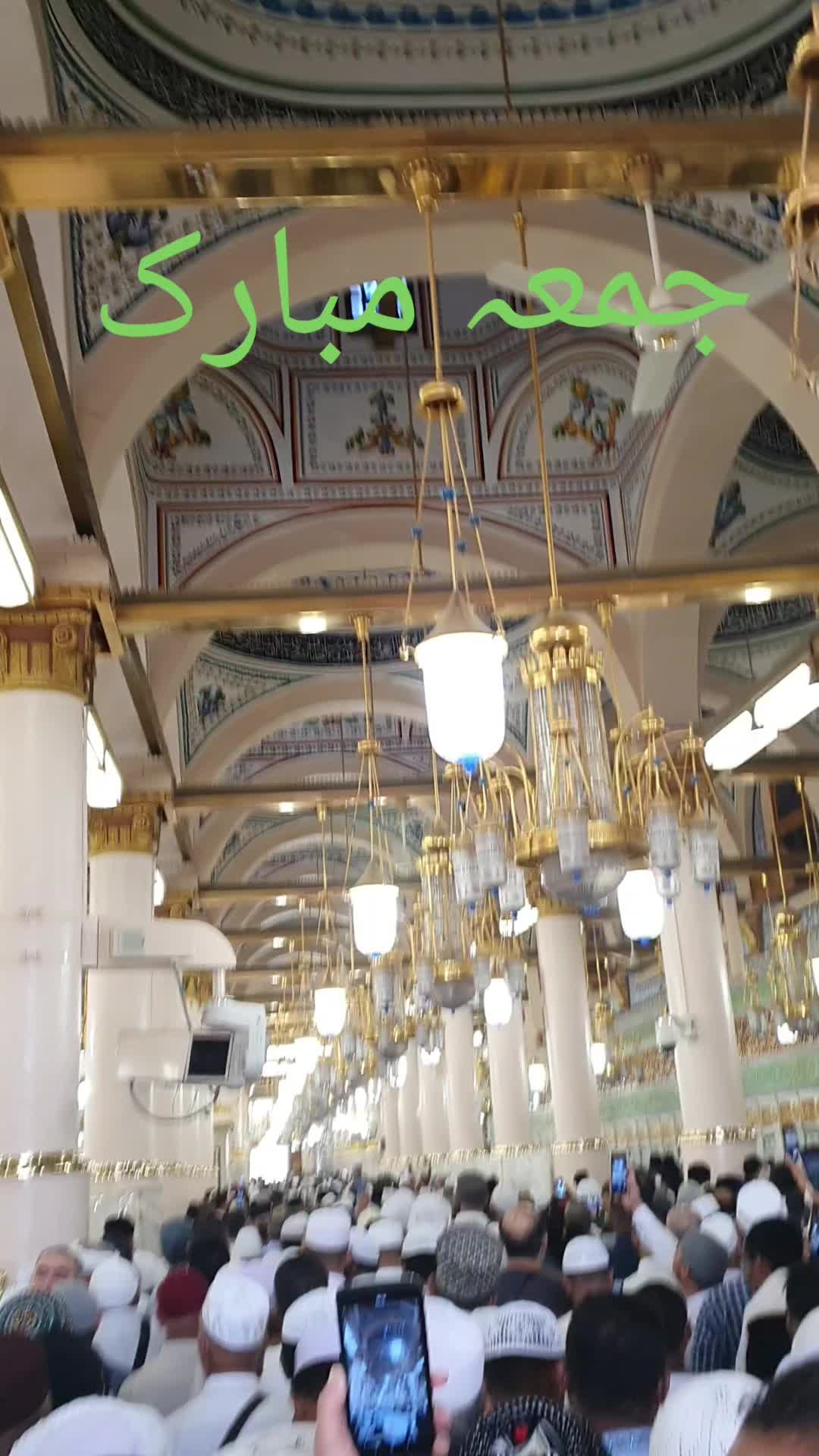 @Mehar Sami