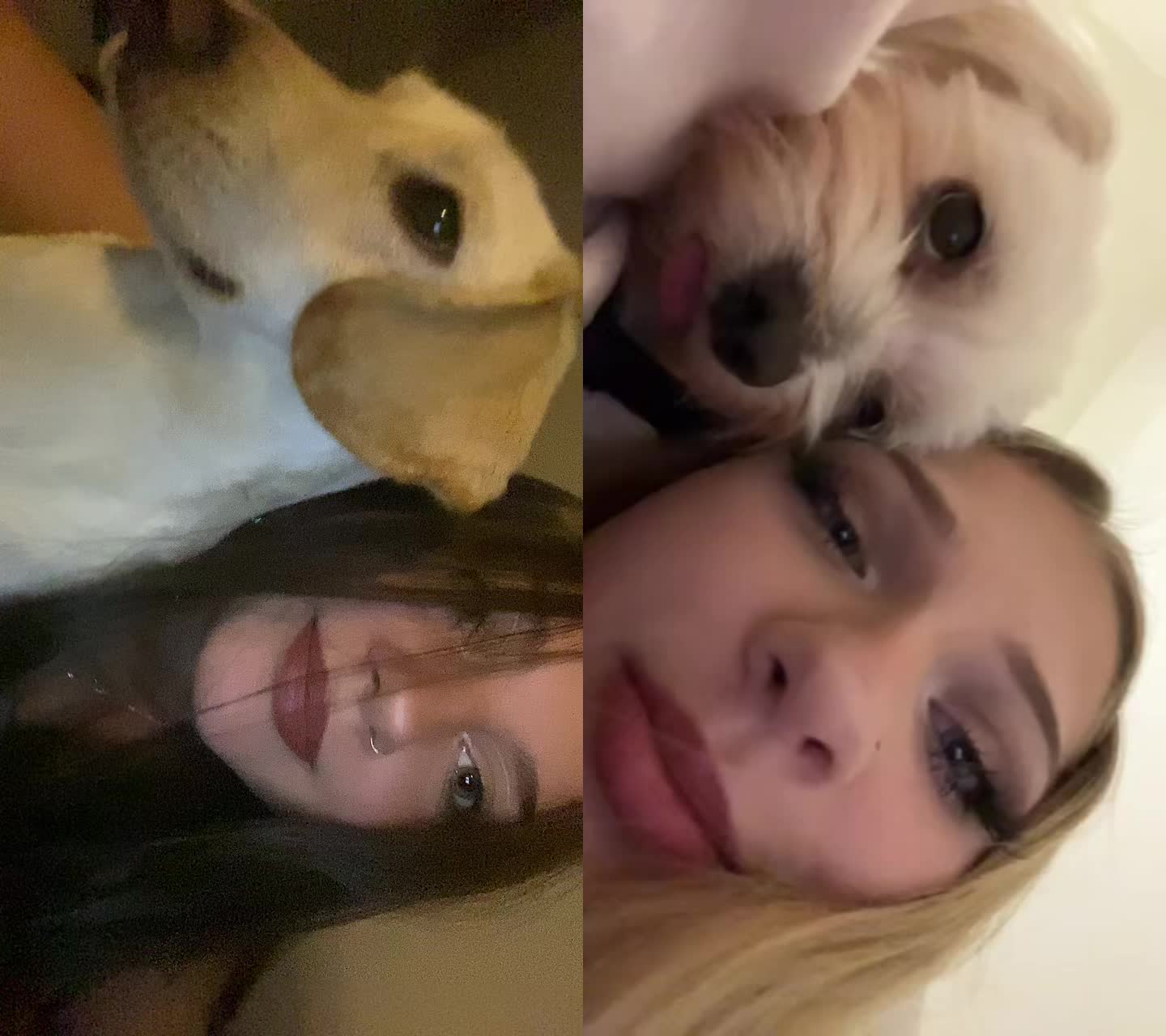 @groszek