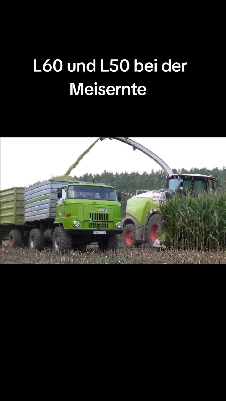 @Belarus mts 50 ๐ช๐ผ๐ช๐ผ๐ช๐ผ