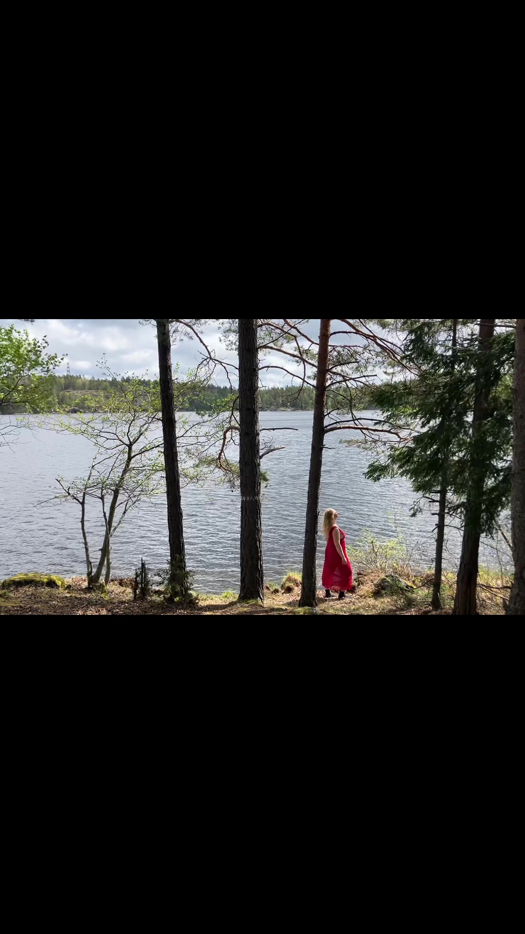 @swedishforestgirl