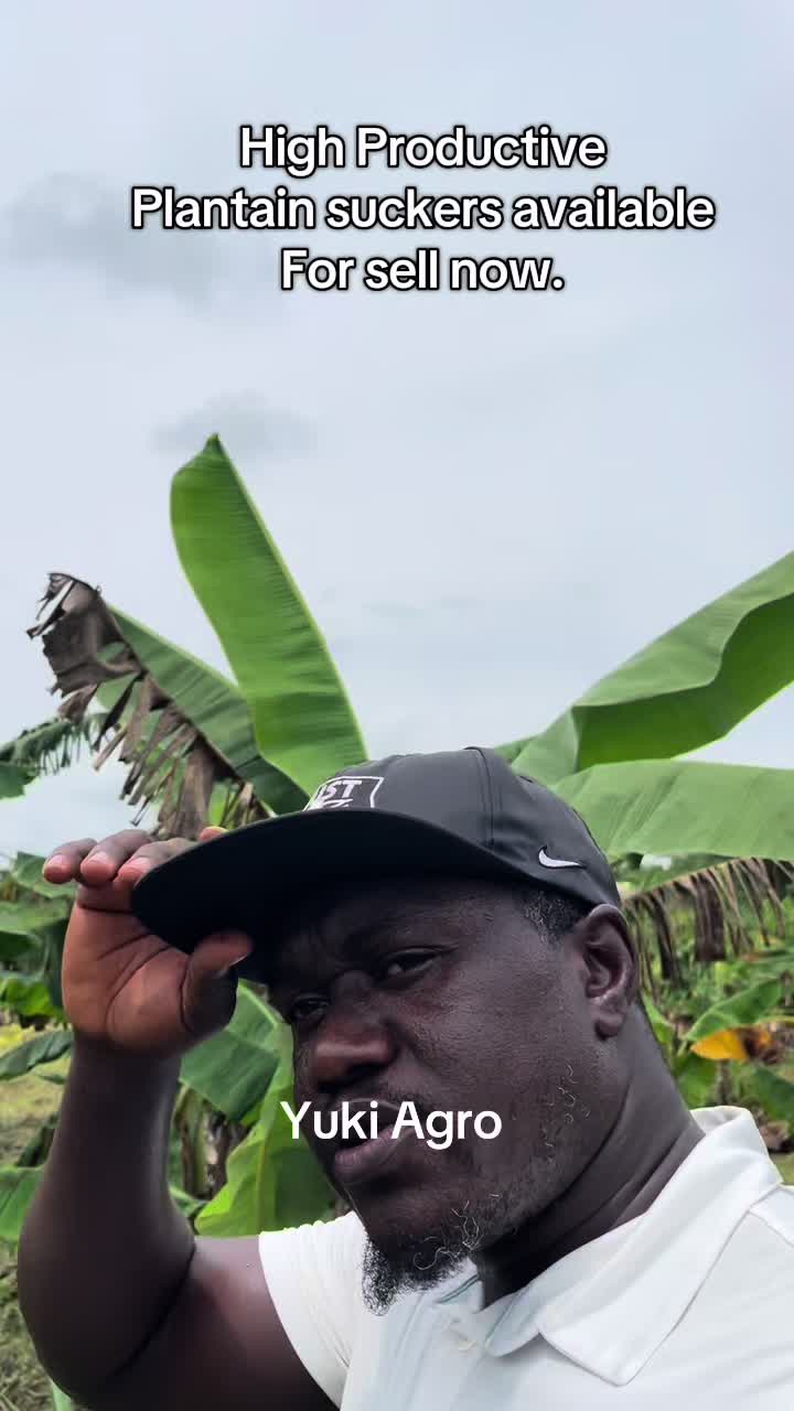 @BabaObaTv @Yuki Agro limited