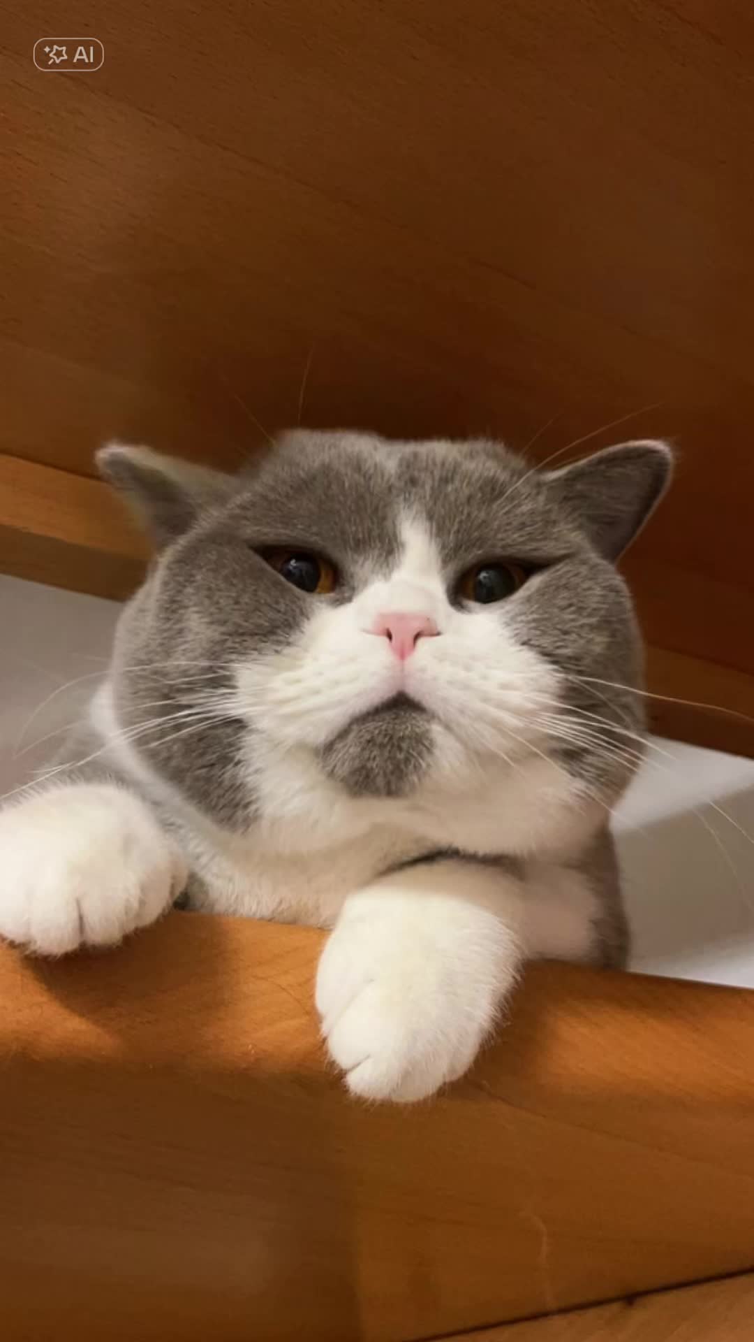 @Anna