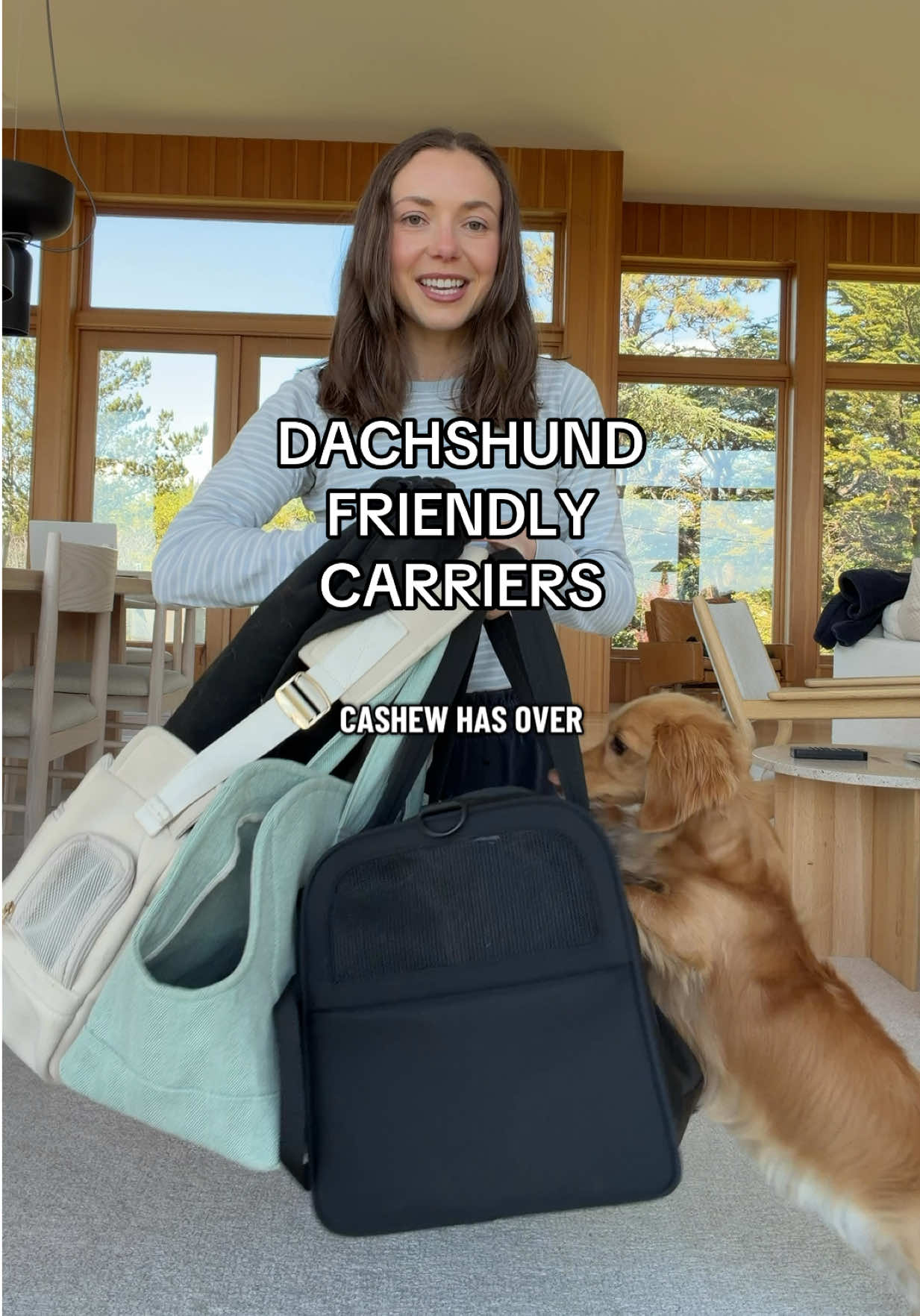 @cashewdachshund