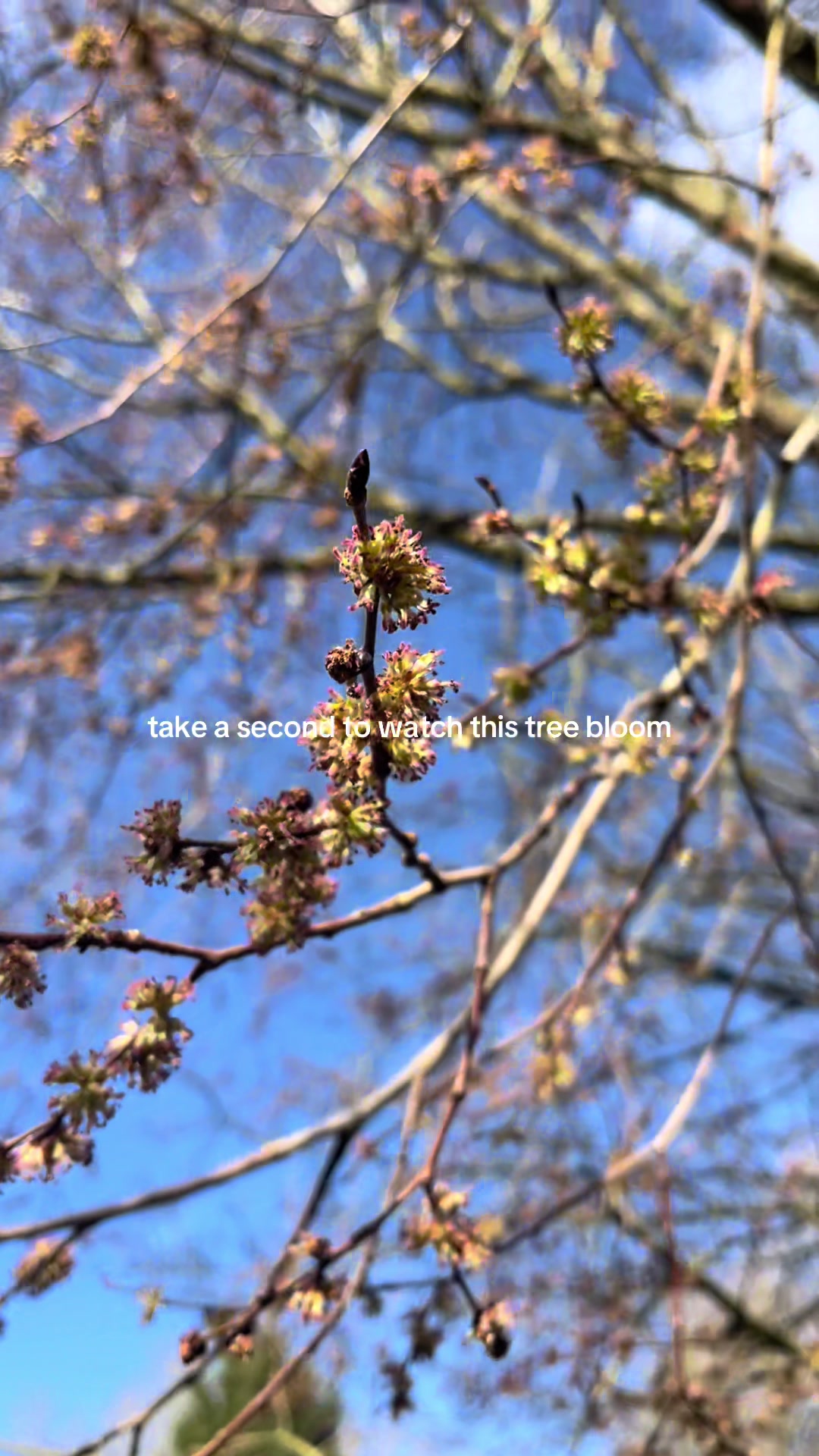 @Julia 🧚♀️💫🌿