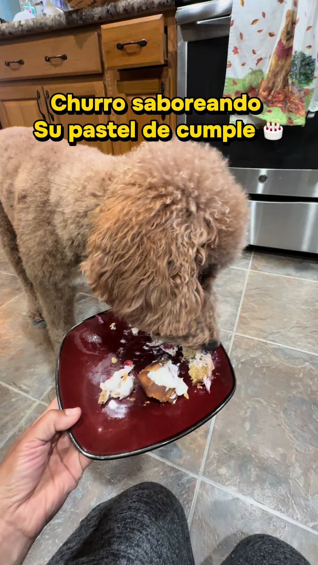 @Reyna y Churro 🐶😍