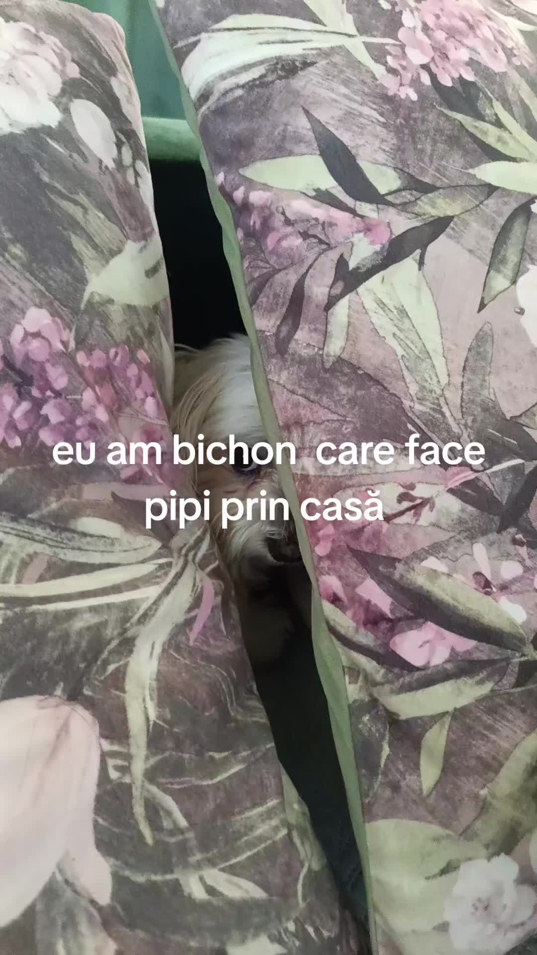 @Mya_dilia