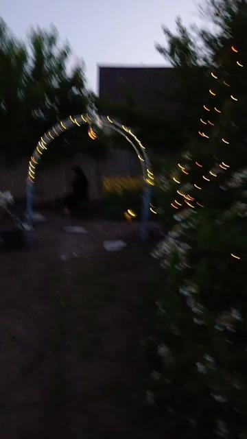 @Тётя Лиля.