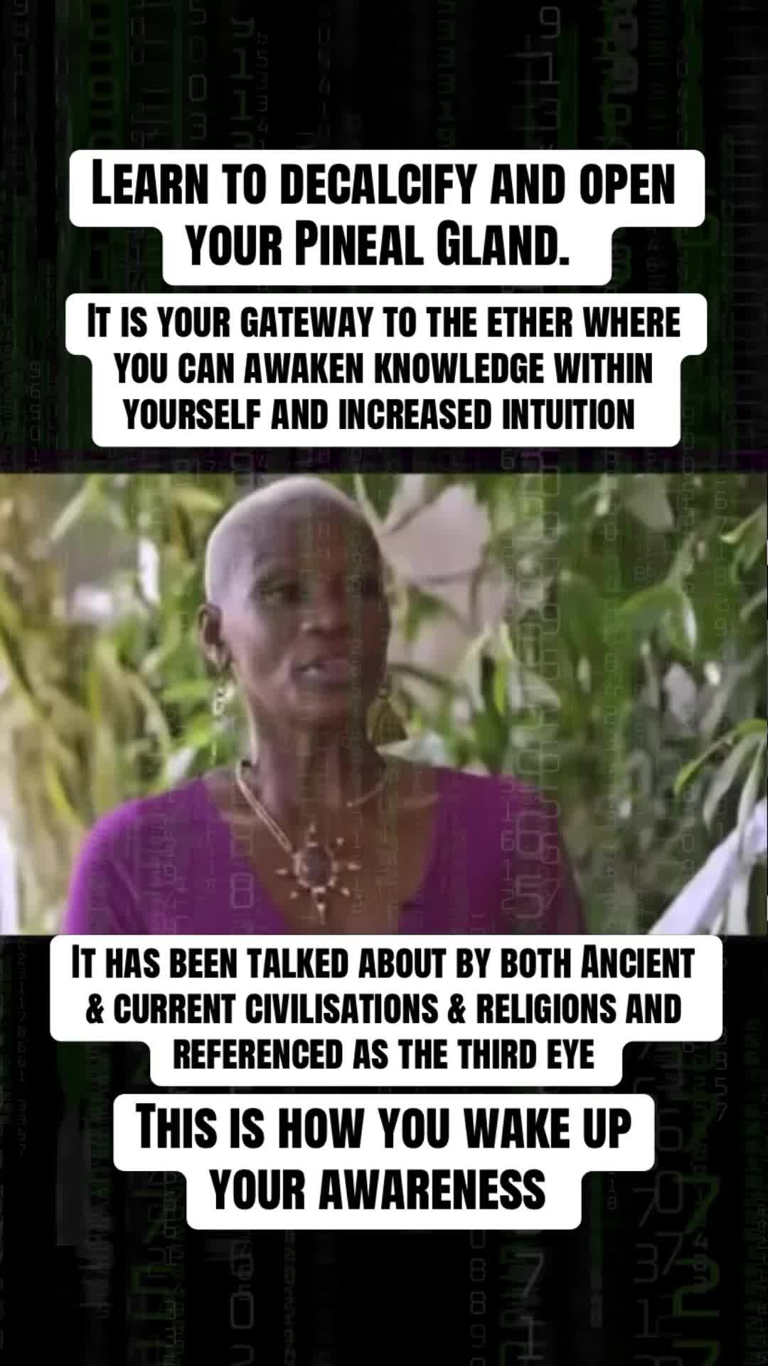 @Mind Awake | Reality Decoded
