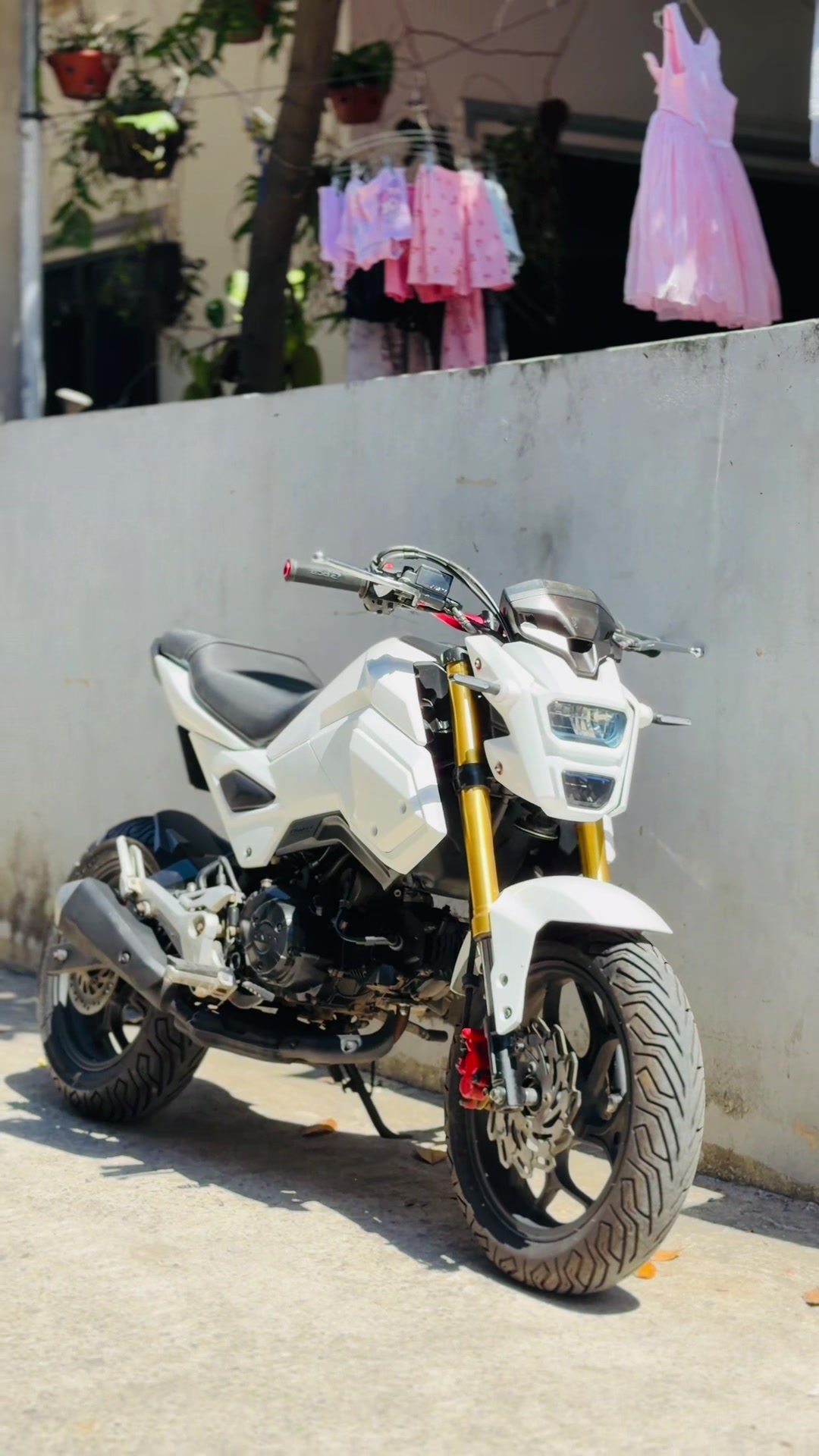 @kiên motor ( Hà Nội ) ✅