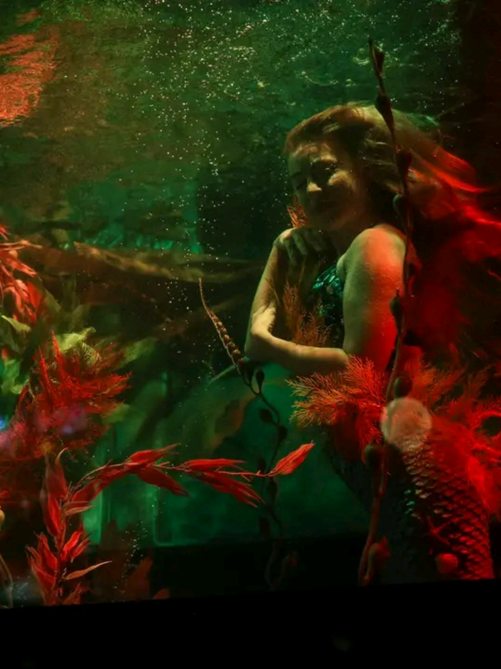 @Dive Bar Mermaids