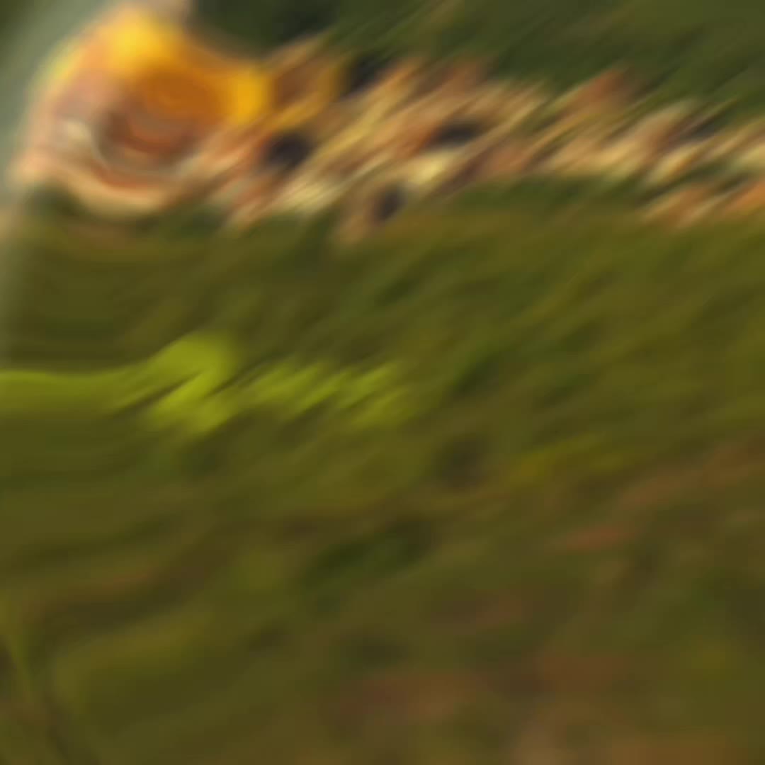 @D0nk