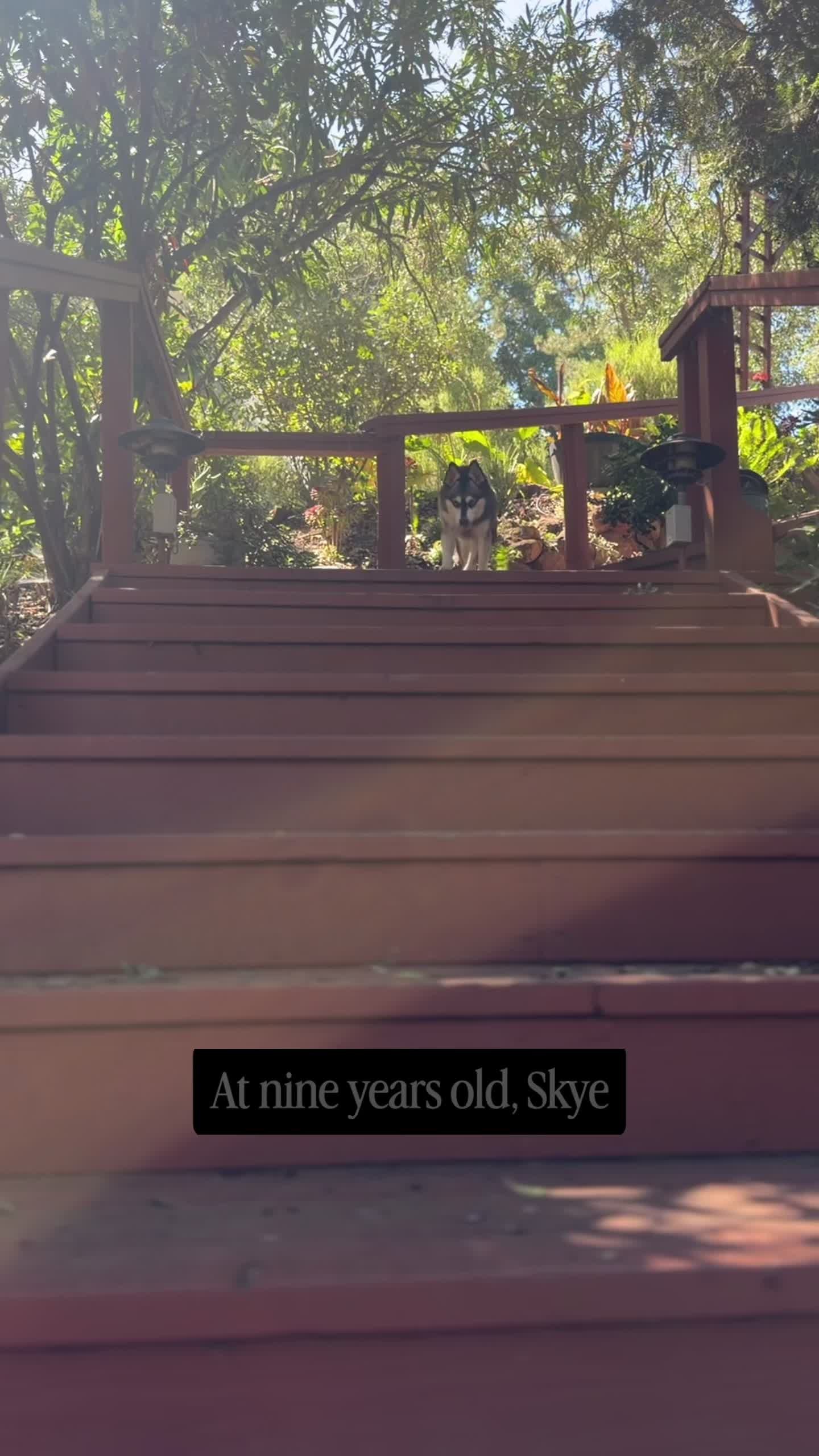 @lifewithkleekai