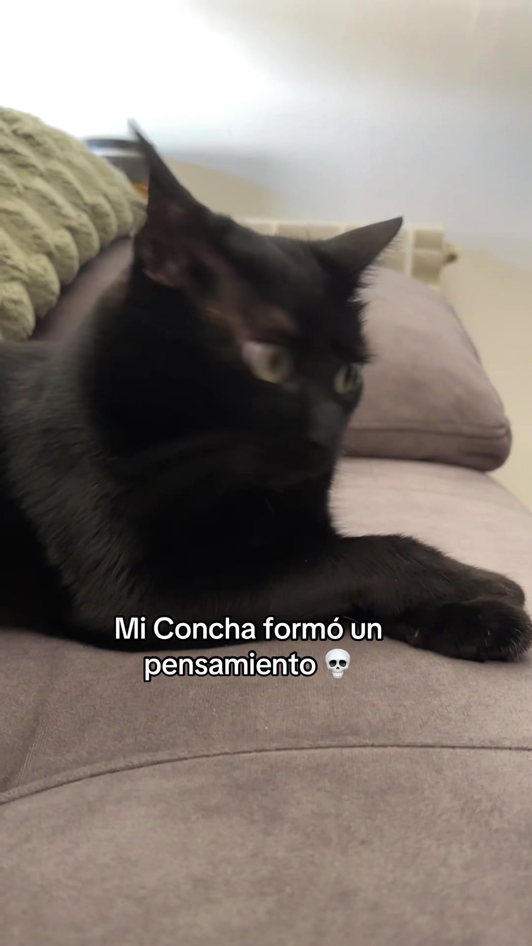 @BlackCatsMatter