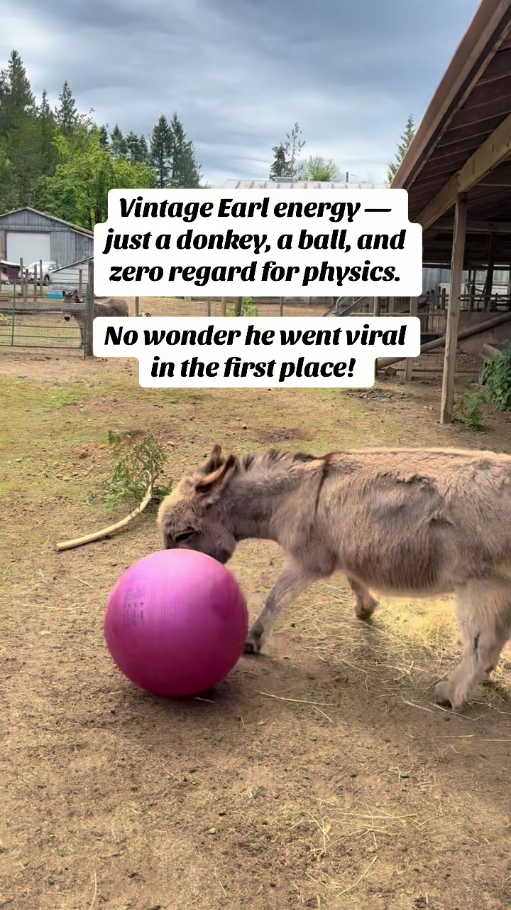 @Home for Hooves 🐽