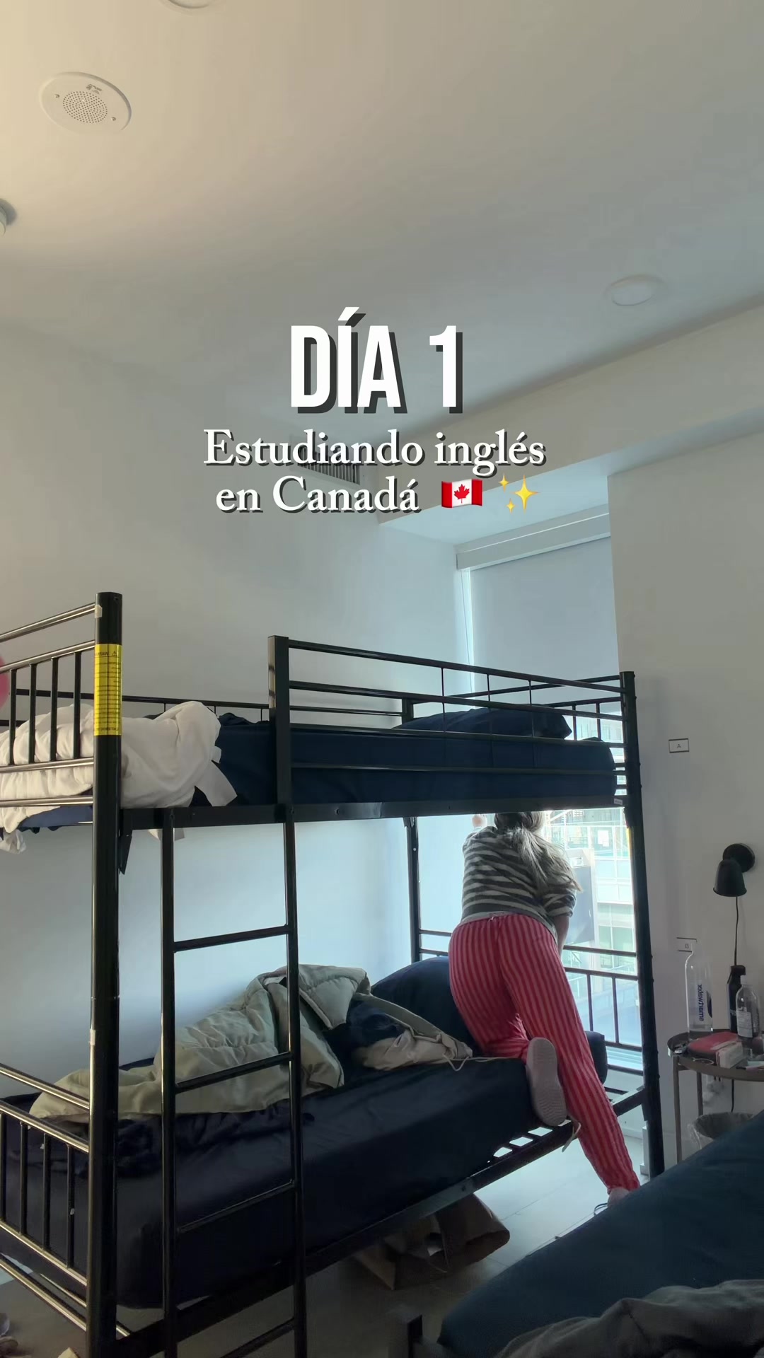 @Marinatoorres