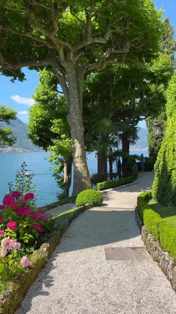 @timelessframes