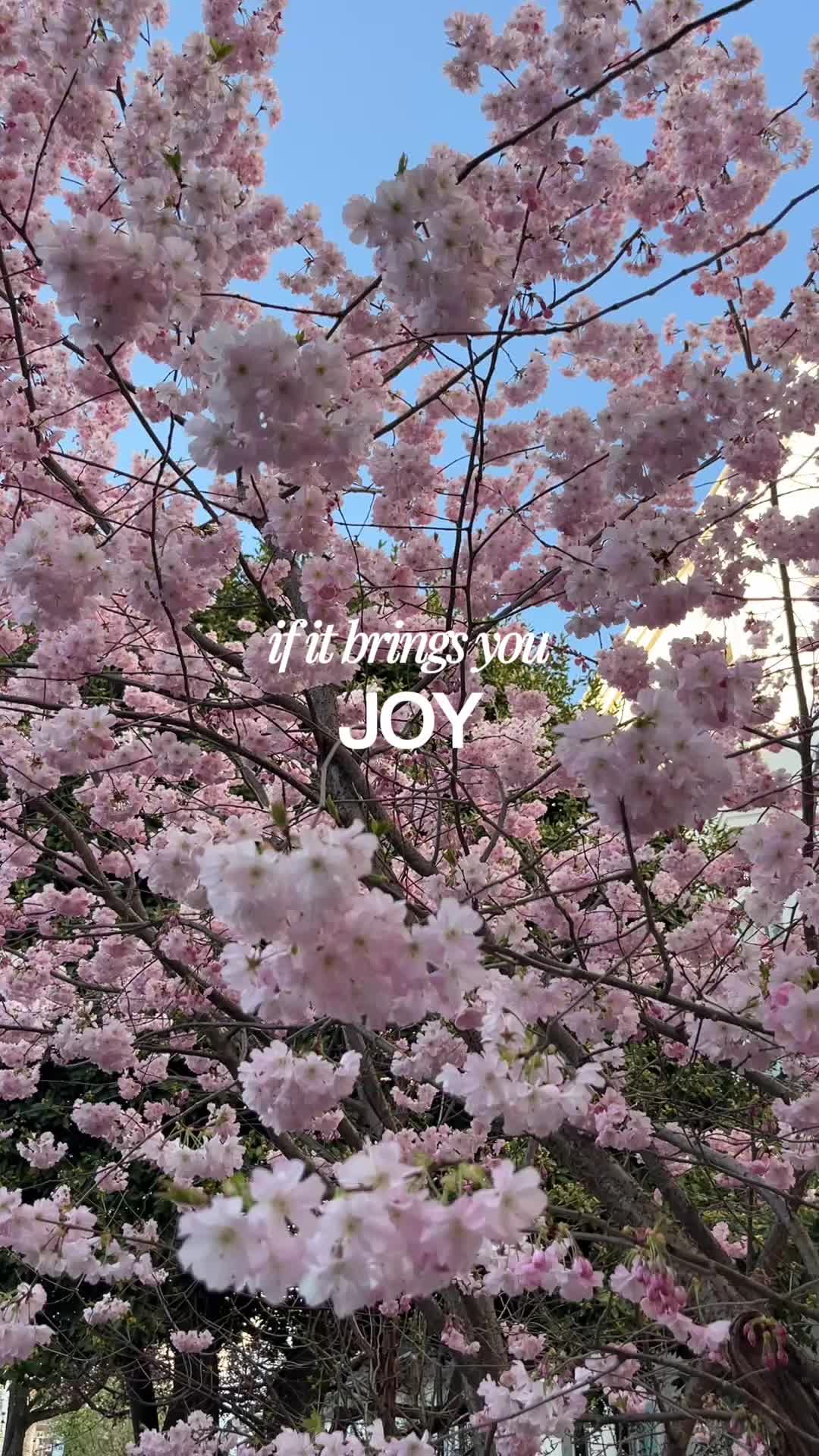 @Marie🌺