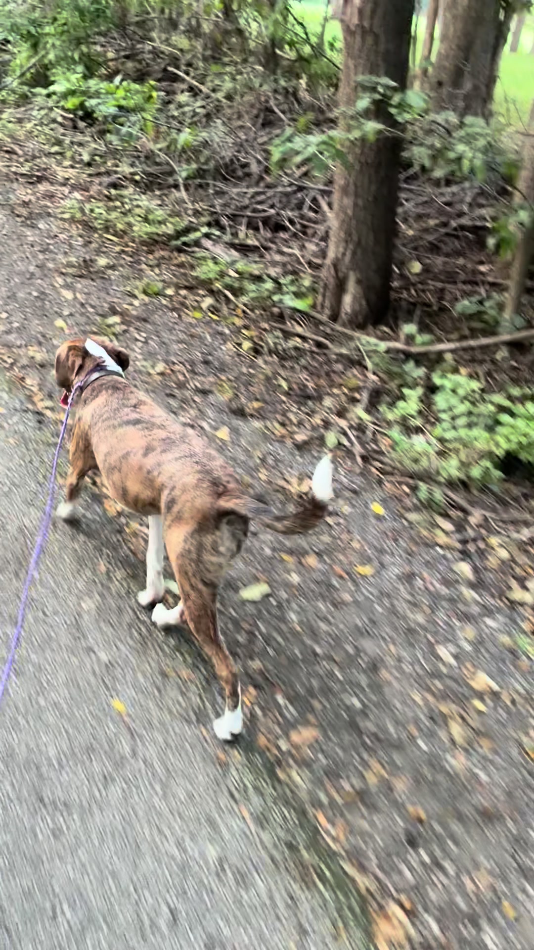 @Hikingwithstanley