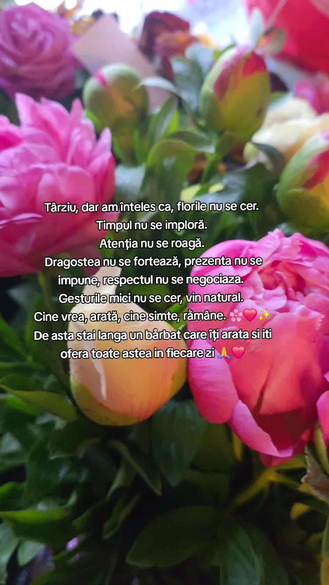 @Ioana Van Johans