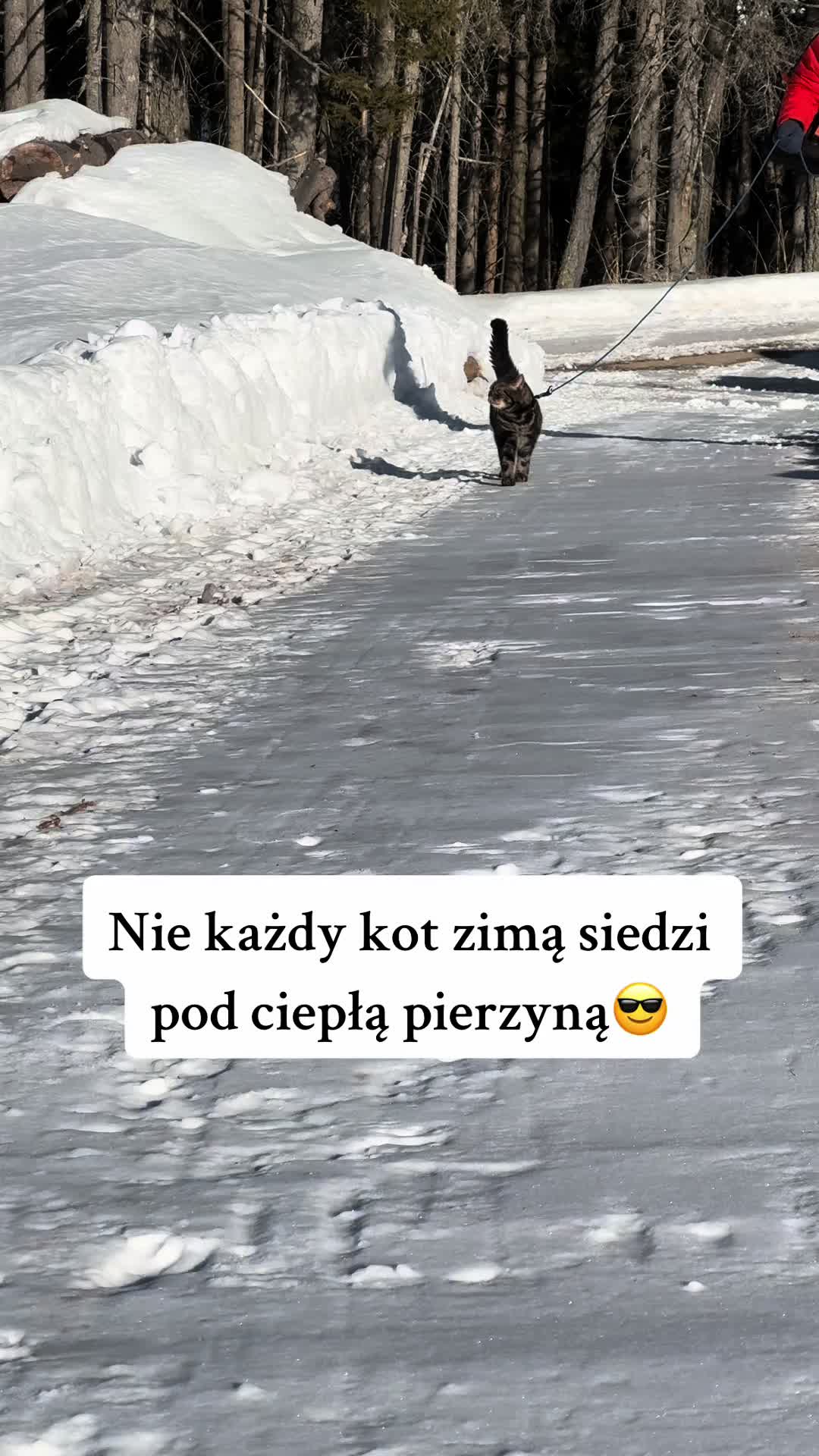 @Zooliday