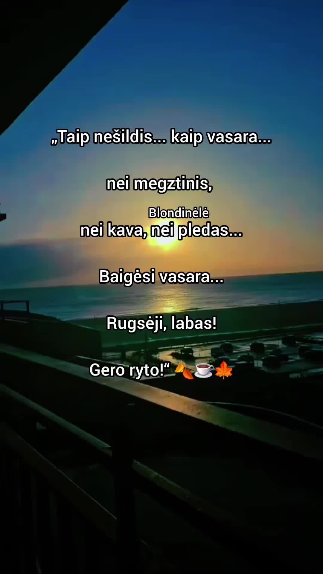 @🤍🩵Blondinėlė💛💜