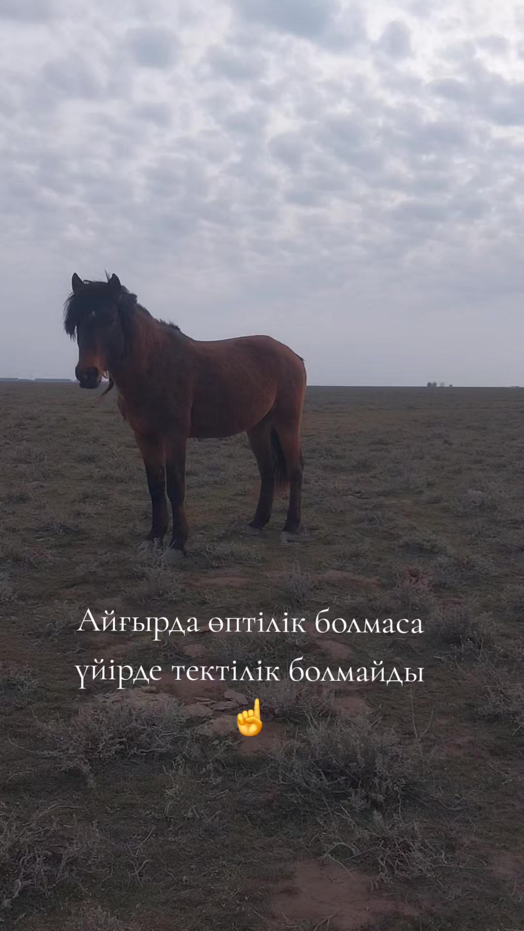 @Мержан