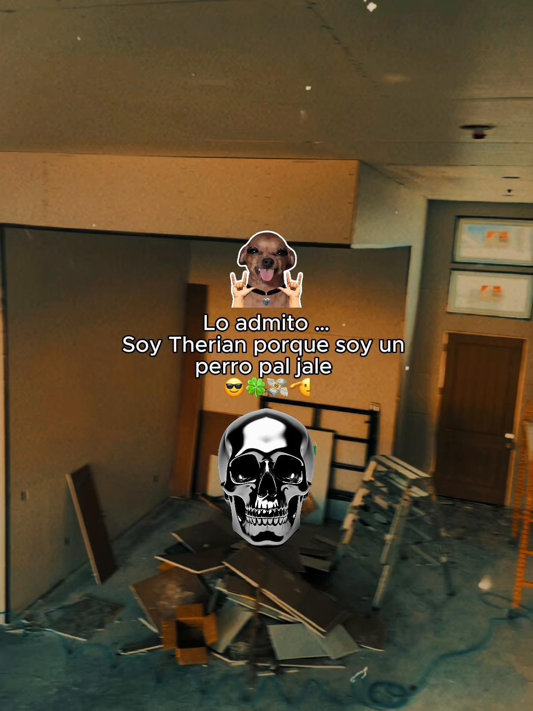 @deivis12
