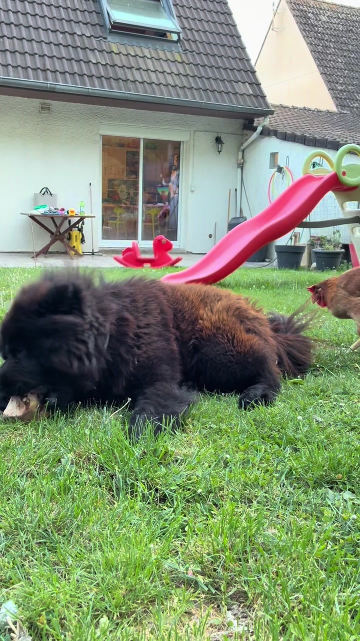 @Nounours et compagnie